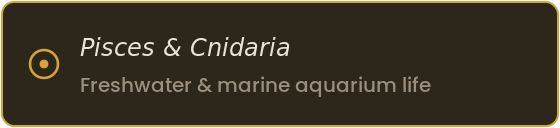 Specimen label for aquatic pets: Pisces and Cnidaria, freshwater and marine aquarium life