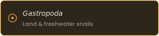 Specimen label for snails: class Gastropoda, land and freshwater snails